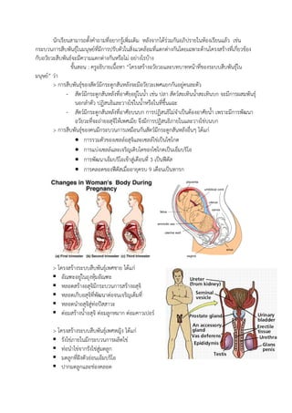 นักเรียนสามารถตั้งคาถามที่อยากรู้เพิ่มเติม หลังจากได้ร่วมกันอภิปรายในห้องเรียนแล้ว เช่น
กระบวนการสืบพันธุ์ในมนุษย์ที่มีการปรับตัวในสิ่งแวดล้อมที่แตกต่างกันโดยเฉพาะด้านโครงสร้างที่เกี่ยวข้อง
กับอวัยวะสืบพันธ์จะมีความแตกต่างกันหรือไม่ อย่างไรบ้าง
ขั้นสอน : ครูอธิบายเนื้อหา “โครงสร้างอวัยวะและบทบาทหน้าที่ของระบบสืบพันธุ์ใน
มนุษย์” ว่า
> การสืบพันธุ์ของสัตว์มีกระดูกสันหลังจะมีอวัยวะเพศแยกกันอยู่คนละตัว
- สัตว์มีกระดูกสันหลังที่อาศัยอยู่ในน้า เช่น ปลา สัตว์สะเทินน้าสะเทินบก จะมีการผสมพันธุ์
นอกลาตัว ปฏิสนธิและวางไข่ในน้าหรือในที่ชื้นแฉะ
- สัตว์มีกระดูกสันหลังที่อาศัยบนบก การปฏิสนธิไม่จาเป็นต้องอาศัยน้า เพราะมีการพัฒนา
อวัยวะที่จะถ่ายอสุจิให้เพศเมีย จึงมีการปฏิสนธิภายในและวางไข่บนบก
> การสืบพันธุ์ของคนมีกระบวนการเหมือนกันสัตว์มีกระดูกสันหลังอื่นๆ ได้แก่
 การรวมตัวของเซลล์อสุจิและเซลล์ไข่เป็นไซโกต
 การแบ่งเซลล์และเจริญเติบโตของไซโกตเป็นเอ็มบริโอ
 การพัฒนาเอ็มบริโอเข้าสู่เดือนที่ 3 เป็นฟีตัส
 การคลอดของฟีตัสเมื่ออายุครบ 9 เดือนเป็นทารก
> โครงสร้างระบบสืบพันธุ์เพศชาย ได้แก่
 อัณฑะอยู่ในถุงหุ้มอัณฑะ
 หลอดสร้างอสุจิมีกระบวนการสร้างอสุจิ
 หลอดเก็บอสุจิที่พัฒนาต่อจนเจริญเต็มที่
 หลอดนาอสุจิสู่ท่อปัสสาวะ
 ต่อมสร้างน้าอสุจิ ต่อมลูกหมาก ต่อมคาวเปอร์
> โครงสร้างระบบสืบพันธุ์เพศหญิง ได้แก่
 รังไข่ภายในมีกระบวนการผลิตไข่
 ท่อนาไข่จากรังไข่สู่มดลูก
 มดลูกที่ฝังตัวอ่อนเอ็มบริโอ
 ปากมดลูกและช่องคลอด
 