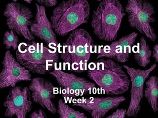 Comprehensive Overview of Cell Structure and Function in Biology | PPT