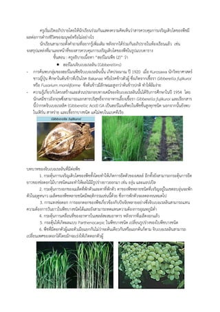 ครูเริ่มเปิดอภิปรายโดยให้นักเรียนร่วมกันแสดงความคิดเห็นว่าสารควบคุมการเจริญเติบโตของพืชมี
ผลต่อการด้ารงชีวิตของมนุษย์หรือไม่อย่างไร
นักเรียนสามารถตังค้าถามที่อยากรู้เพิ่มเติม หลังจากได้ร่วมกันอภิปรายในห้องเรียนแล้ว เช่น
จงสรุปแหล่งที่มาและหน้าที่ของสารควบคุมการเจริญเติบโตของพืชในรูปแบบตาราง
ขันสอน : ครูอธิบายเนือหา “ฮอร์โมนพืช (2)” ว่า
 ฮอร์โมนจิบเบอเรลลิน (Gibberellins)
- การค้นพบกลุ่มของฮอร์โมนพืชจิบเบอเรลลินนัน เกิดประมาณ ปี 1920 เมื่อ Kurosawa นักวิทยาศาสตร์
ชาวญี่ปุ่น ศึกษาในต้นข้าวที่เป็นโรค Bakanae หรือโรคข้าวตัวผู้ ซึ่งเกิดจากเชือรา Gibberella fujikuroi
หรือ Fusarium moniliforme ซึ่งต้นข้าวมีลักษณะสูงกว่าต้นข้าวปกติ ท้าให้ล้มง่าย
- ความรู้เกี่ยวกับโครงสร้างและส่วนประกอบทางเคมีของจิบเบอเรลลินนันได้รับการศึกษาในปี 1954 โดย
นักเคมีชาวอังกฤษซึ่งสามารถแยกสารบริสุทธิ์จากอาหารเลียงเชือรา Gibberella fujikuroi และเรียกสาร
นีว่ากรดจิบเบอเรลลิค (Gibberellic Acid) GA เป็นฮอร์โมนที่พบในพืชชันสูงทุกชนิด นอกจากนันยังพบ
ในเฟิร์น สาหร่าย และเชือราบางชนิด แต่ไม่พบในแบคทีเรีย
บทบาทของจิบเบอเรลลินที่มีต่อพืช
1. กระตุ้นการเจริญเติบโตของพืชทังโดยท้าให้เกิดการยืดตัวของเซลล์ อีกทังยังสามารถกระตุ้นการยืด
ยาวของช่อดอกไม้บางชนิดและท้าให้ผลไม้มีรูปร่างยาวออกมา เช่น องุ่น และแอปเปิล
2. กระตุ้นการงอกของเมล็ดที่พักตัวและตาที่พักตัว ตาของพืชหลายชนิดที่เจริญอยู่ในเขตอบอุ่นจะพัก
ตัวในฤดูหนาว เมล็ดของพืชหลายชนิดมีพฤติกรรมเช่นนีด้วย ซึ่งการพักตัวจะลดลงจนหมดไป
3. การแทงช่อดอก การออกดอกของพืชเกี่ยวข้องกับปัจจัยหลายอย่างซึ่งจิบเบอเรลลินสามารถแทน
ความต้องการวันยาวในพืชบางชนิดได้และยังสามารถทดแทนความต้องการอุณหภูมิต่้า
4. กระตุ้นการเคลื่อนที่ของอาหารในเซลล์สะสมอาหาร หลังจากที่เมล็ดงอกแล้ว
5. กระตุ้นให้เกิดผลแบบ Parthenocarpic ในพืชบางชนิด เปลี่ยนรูปร่างของใบพืชบางชนิด
6. พืชที่มีดอกตัวผู้และตัวเมียแยกกันไม่ว่าจะต้นเดียวกันหรือแยกต้นก็ตาม จิบเบอเรลลินสามารถ
เปลี่ยนเพศของดอกได้โดยมักจะเร่งให้เกิดดอกตัวผู้
 