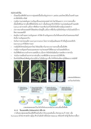 สรุปความส้าคัญ
- เป็นฮอร์โมนพืชที่สร้างมาจากกลุ่มเซลล์เนือเยื่อเจริญปลายราก ,ผลอ่อน และยังพบได้ในน้ามะพร้าวและ
สารที่สกัดได้จากยีสต์
- กระตุ้นการแบ่งเซลล์และการเจริญเปลี่ยนแปลงของเซลล์ เช่น ในล้าต้นและราก จากการเพาะเลียง
เนือเยื่อพืชในอาหารเลียงที่มีไซโทไคนิน พบว่า เนือเยื่อจะถูกชักน้าให้เกิดการแบ่งเซลล์และสร้างแคลลัส
(callus) อย่างรวดเร็ว แต่ในรากพืชต้องการออกซินร่วมกับไซโทไคนินซึ่งกระตุ้นแบ่งเซลล์ราก
- เร่งการขยายตัวของเซลล์ท้าให้เซลล์ขยายใหญ่ขึน แต่ในรากที่มีปริมาณไซโทไคนินมากเกินไปจะยับยังการ
ยืดยาวของเซลล์ได้
- ส่งเสริมการสร้างและการเจริญของตา ท้าให้ตาข้างเจริญออกมาเป็นกิ่งซึ่งจะตรงข้ามกับผลของออกซินที่
ยับยังการเจริญของตาข้าง
- ช่วยในการงอกของเมล็ด (seed germination) โดยการกระตุ้นเมล็ดและตาข้างที่อยู่ในระยะพักตัว
(dormancy) ท้าให้เกิดการงอก
- กระตุ้นให้เกิดหน่อใหม่และตาใหม่ จึงนิยมใช้มากในกระบวนการเพาะเลียงเนือเยื่อพืช
- กระตุ้นการเจริญของกิ่งแขนงและชะลอการแก่ของผลท้าให้ยืดอายุการเก็บผลผลิตได้นาน
- ช่วยให้พืชผักสามารถรักษาความสดได้นาน เนื่องจากไซโทไคนินมีผลในการลดอัตราการหายใจ
- ช่วยในการเคลื่อนย้ายอาหารจากส่วนอื่นๆ ของพืชให้สามารถกระจายไปได้ทั่วต้น
- ป้องกันไม่ให้คลอโรฟิลล์ถูกท้าลายได้ง่าย ใบจึงมีอายุยาวขึน อีกทังยังช่วยยืดอายุไม้ตัดดอกบางชนิดได้
ภาพแสดงผลของฮอร์โมนไซโทไคนินและออกซินในการเพาะเลี้ยงเนื้อเยื่อพืช
4.1.3 จิบเบอเรลลิน (Gibberellin) หรือ GA
การค้นพบกลุ่มของฮอร์โมนพืชที่ปัจจุบันเรียกว่าจิบเบอเรลลินนัน เกิดประมาณ ปี 1920 เมื่อ
Kurosawa นักวิทยาศาสตร์ชาวญี่ปุ่น ศึกษาในต้นข้าวที่เป็นโรค Bakanae หรือโรคข้าวตัวผู้ ซึ่งเกิดจากเชือรา
ภาพแสดงอิทธิพลของ
ฮอร์โมนไซโทไคนิน
 
