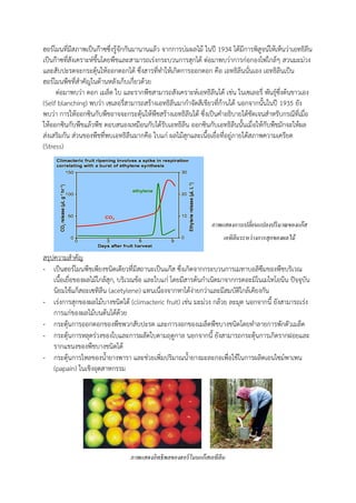 ฮอร์โมนที่มีสภาพเป็นก๊าซซึ่งรู้จักกันมานานแล้ว จากการบ่มผลไม้ ในปี 1934 ได้มีการพิสูจน์ให้เห็นว่าเอทธิลีน
เป็นก๊าซที่สังเคราะห์ขึนโดยพืชและสามารถเร่งกระบวนการสุกได้ ต่อมาพบว่าการก่อกองไฟใกล้ๆ สวนมะม่วง
และสับปะรดจะกระตุ้นให้ออกดอกได้ ซึ่งสารที่ท้าให้เกิดการออกดอก คือ เอทธิลีนนั่นเอง เอทธิลีนเป็น
ฮอร์โมนพืชที่ส้าคัญในด้านหลังเก็บเกี่ยวด้วย
ต่อมาพบว่า ดอก เมล็ด ใบ และรากพืชสามารถสังเคราะห์เอทธิลีนได้ เช่น ในเซเลอรี่ พันธุ์ซึ่งต้นขาวเอง
(Self blanching) พบว่า เซเลอรี่สามารถสร้างเอทธิลีนมาก้าจัดสีเขียวที่ก้านได้ นอกจากนันในปี 1935 ยัง
พบว่า การให้ออกซินกับพืชอาจจะกระตุ้นให้พืชสร้างเอทธิลีนได้ ซึ่งเป็นค้าอธิบายได้ชัดเจนส้าหรับกรณีที่เมื่อ
ให้ออกซินกับพืชแล้วพืช ตอบสนองเหมือนกับได้รับเอทธิลีน ออกซินกับเอทธิลีนนันเมื่อให้กับพืชมักจะให้ผล
ส่งเสริมกัน ส่วนของพืชที่พบเอทธิลีนมากคือ ใบแก่ ผลไม้สุกและเนือเยื่อที่อยู่ภายใต้สภาพความเครียด
(Stress)
สรุปความส้าคัญ
- เป็นฮอร์โมนพืชเพียงชนิดเดียวที่มีสถานะเป็นแก๊ส ซึ่งเกิดจากกระบวนการเมทาบอลิซึมของพืชบริเวณ
เนือเยื่อของผลไม้ใกล้สุก, บริเวณข้อ และใบแก่ โดยมีสารต้นก้าเนิดมาจากกรดอะมิโนเมไทโอนีน ปัจจุบัน
นิยมใช้แก็สอะเซทิลีน (acetylene) แทนเนื่องจากหาได้ง่ายกว่าและมีสมบัติใกล้เคียงกัน
- เร่งการสุกของผลไม้บางชนิดได้ (climacteric fruit) เช่น มะม่วง กล้วย ละมุด นอกจากนี ยังสามารถเร่ง
การแก่ของผลไม้บนต้นได้ด้วย
- กระตุ้นการออกดอกของพืชพวกสับปะรด และการงอกของเมล็ดพืชบางชนิดโดยท้าลายการพักตัวเมล็ด
- กระตุ้นการหลุดร่วงของใบและการผลัดใบตามฤดูกาล นอกจากนี ยังสามารถกระตุ้นการเกิดรากฝอยและ
รากแขนงของพืชบางชนิดได้
- กระตุ้นการไหลของน้ายางพารา และช่วยเพิ่มปริมาณน้ายางมะละกอเพื่อใช้ในการผลิตเอนไซม์พาเพน
(papain) ในเชิงอุตสาหกรรม
ภาพแสดงอิทธิพลของฮอร์โมนแก๊สเอทีลีน
ภาพแสดงการเปลี่ยนแปลงปริมาณของแก๊ส
เอทิลีนระหว่างการสุกของผลไม้
 