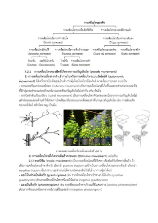 4.2.1 การเคลื่อนไหวของพืชที่เกิดจากการเจริญเติบโต (growth movement)
1) การเคลื่อนไหวเนื่องจากสิ่งเร้าภายในหรือการเคลื่อนไหวแบบอัตโนมัติ (autonomic
movement) มีสิ่งเร้าภายในพืชเองเป็นตัวกระตุ้นโดยไม่เกี่ยวข้องกับสิ่งแวดล้อมภายนอก แบ่งเป็น
- การเอนหรือแกว่งยอดไปมา (nutation movement) เป็นการเคลื่อนไหวที่เกิดขึนเฉพาะส่วนปลายยอดพืช
ที่มีกลุ่มเซลล์ของแต่ละด้านบริเวณยอดพืชเจริญเติบโตไม่เท่ากัน เช่น ต้นถั่ว
- การบิดล้าต้นเป็นเกลียว (spiral movement) เป็นการเคลื่อนไหวที่ปลายยอดเนื่องจากการเจริญเติบโตไม่
เท่ากันของแต่ละด้านท้าให้เกิดการบิดเป็นเกลียวรอบแกนเพื่อพยุงล้าต้นขณะเจริญเติบโต เช่น การพันหลัก
ของมะลิวัลย์ พริกไทย พลู เป็นต้น
2) การเคลื่อนไหวที่เกิดจากสิ่งเร้าภายนอก (Stimulus movement) แบ่งเป็น
2.1) ทรอปิซึม (tropic movement) เป็นการเคลื่อนไหวที่มีทิศทางสัมพันธ์กับทิศทางสิ่งเร้า ถ้า
เป็นการเคลื่อนไหวเข้าหาสิ่งเร้า เรียกว่า positive tropism แต่ถ้าเป็นการเคลื่อนไหวออกจากสิ่งเร้า เรียกว่า
negative tropism ซึ่งเราสามารถจ้าแนกได้ตามชนิดของสิ่งเร้าที่เข้ามากระตุ้น ได้แก่
- แรงโน้มถ่วงเป็นสิ่งเร้า (gravitropism) เช่น รากพืชเคลื่อนไหวเข้าหาแรงโน้มถ่วง (positive
gravitropism) ส่วนยอดพืชเคลื่อนไหวหนีแรงโน้มถ่วง (negative gravitropism)
- แสงเป็นสิ่งเร้า (phototropism) เช่น ยอดพืชเอนเข้าหาบริเวณที่มีแสงสว่าง (positive phototropism)
ส่วนรากพืชเอนหนีออกจากบริเวณที่มีแสงสว่าง (negative phototropism)
ภาพแสดงการเคลื่อนไหวเนื่องจากสิ่งเร้าภายใน
 