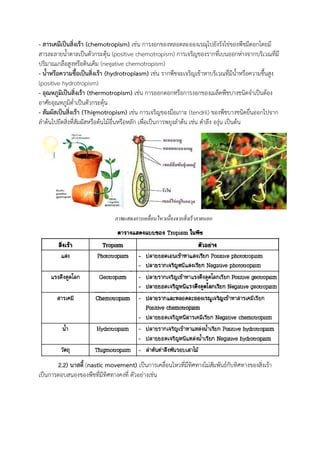 - สารเคมีเป็นสิ่งเร้า (chemotropism) เช่น การงอกของหลอดละอองเรณุไปยังรังไข่ของพืชมีดอกโดยมี
สารละลายน้าตาลเป็นตัวกระตุ้น (positive chemotropism) การเจริญของรากที่เบนออกห่างจากบริเวณที่มี
ปริมาณเกลือสูงหรือดินเค็ม (negative chemotropism)
- น้าหรือความชื้อเป็นสิ่งเร้า (hydrotropiasm) เช่น รากพืชจะเจริญเข้าหาบริเวณที่มีน้าหรือความชืนสูง
(positive hydrotropism)
- อุณหภูมิเป็นสิ่งเร้า (thermotropism) เช่น การออกดอกหรือการงอกของเมล็ดพืชบางชนิดจ้าเป็นต้อง
อาศัยอุณหภูมิต่้าเป็นตัวกระตุ้น
- สัมผัสเป็นสิ่งเร้า (Thigmotropism) เช่น การเจริญของมือเกาะ (tendril) ของพืชบางชนิดยื่นออกไปจาก
ล้าต้นไปยึดสิ่งที่สัมผัสหรือต้นไม้อื่นหรือหลัก เพื่อเป็นการพยุงล้าต้น เช่น ต้าลึง องุ่น เป็นต้น
2.2) นาสตี้ (nastic movement) เป็นการเคลื่อนไหวที่มีทิศทางไม่สัมพันธ์กับทิศทางของสิ่งเร้า
เป็นการตอบสนองของพืชที่มีทิศทางคงที่ ตัวอย่างเช่น
ภาพแสดงการเคลื่อนไหวเนื่องจากสิ่งเร้าภายนอก
 