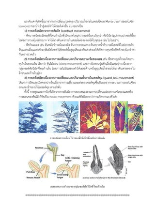 แรงดันเต่งที่เกิดขึนมาจากการเปลี่ยนแปลงของปริมาณน้าภายในเซลล์โดยอาศัยกระบวนการออสโมซิส
(osmosis) ของน้าเข้าสู่เซลล์ท้าให้เซลล์เต่งขึน แบ่งออกเป็น
1) การเคลื่อนไหวจากการสัมผัส (contract movement)
- พืชบางชนิดจะมีเซลล์ที่โคนก้านใบซึ่งมีขนาดใหญ่กว่าเซลล์อื่นๆ เรียกว่า พัลวีนัส (pulvinus) เซลล์นีจะ
ไวต่อการกระตุ้นอย่างมาก ท้าให้แรงดันเต่งภายในเซลล์ลดลงส่งผลให้ใบหุบลง เช่น ใบไมยราบ
- พืชกินแมลง เช่น ต้นหม้อข้าวหม้อแกงลิง ต้นกาบหอยแครง ต้นหยาดน้าค้าง จะมีเซลล์ที่ไวต่อการดัก
จับแมลงเมื่อแมลงเข้ามาสัมผัสโดยท้าให้เซลล์นันสูญเสียแรงดันเต่งส่งผลให้เกิดการหุบหรือปิดตัวของใบเข้าหา
กันอย่างรวดเร็ว
2) การเคลื่อนไหวเนื่องจากการเปลี่ยนแปลงปริมาณความเข้มของแสง เช่น พืชตระกูลถั่วจะเกิดการ
หุบใบในตอนเย็น เรียกว่า ต้นไม้นอน (sleep movement) และกางใบตอนรุ่งเช้าเมื่อมีแสงสว่าง เนื่องจาก
กลุ่มเซลล์พัลวีนัสที่โคนก้านใบ ในสภาวะไม่มีแสงจะท้าให้เซลล์ด้านหนึ่งสูญเสียน้าส่งผลให้แรงดันเต่งลดลง ใบ
จึงหุบและก้านใบลู่ลง
3) การเคลื่อนไหวเนื่องจากการเปลี่ยนแปลงปริมาณน้าภายในเซลล์คุม (guard cell movement)
ได้แก่ การปิดและเปิดของปากใบเนื่องจากการเหี่ยวและเต่งของเซลล์คุมซึ่งเป็นผลจากกระบวนการออสโมซิสอ
อกและเข้าของน้าในเซลล์คุม ตามล้าดับ
ทังนี การหุบและการใบที่เกิดจากการสัมผัส การตอบสนองตามการเปลี่ยนแปลงความเข้มของแสงหรือ
การนอนของต้นไม้ ก็จัดเป็น nastic movement ด้วยแต่ยังน้อยกกว่าการเกิดจากแรงดังเต่ง
..............................................................................................................................
ภาพแสดงการทางานของกลุ่มเซลล์พัลวีนัสที่โคนก้านใบ
@@@@@@@@@@@@@@@@@@@@@@@@@@@@@@@@@@@@@@@@@@@@@@@
ภาพแสดงการเคลื่อนไหวของพืชที่เกี่ยวข้องกับแรงดันเต่ง
 