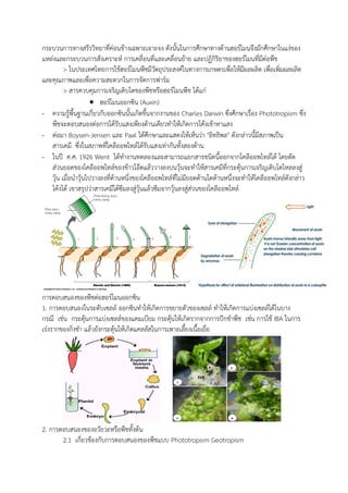 กระบวนการทางสรีรวิทยาที่ค่อนข้างเฉพาะเจาะจง ดังนันในการศึกษาทางด้านฮอร์โมนจึงมักศึกษาในแง่ของ
แหล่งและกระบวนการสังเคราะห์ การเคลื่อนที่และเคลื่อนย้าย และปฏิกิริยาของฮอร์โมนที่มีต่อพืช
> ในประเทศไทยการใช้ฮอร์โมนพืชมีวัตถุประสงค์ในทางการเกษตรเพื่อให้มีผลผลิต เพื่อเพิ่มผลผลิต
และคุณภาพและเพื่อความสะดวกในการจัดการฟาร์ม
> สารควบคุมการเจริญเติบโตของพืชหรือฮอร์โมนพืช ได้แก่
 ฮอร์โมนออกซิน (Auxin)
- ความรู้พืนฐานเกี่ยวกับออกซินนันเกิดขึนจากงานของ Charles Darwin ซึ่งศึกษาเรื่อง Phototropism ซึ่ง
พืชจะตอบสนองต่อการได้รับแสงเพียงด้านเดียวท้าให้เกิดการโค้งเข้าหาแสง
- ต่อมา Boysen-Jensen และ Paal ได้ศึกษาและแสดงให้เห็นว่า "อิทธิพล" ดังกล่าวนีมีสภาพเป็น
สารเคมี ซึ่งในสภาพที่โคลีออพไทล์ได้รับแสงเท่ากันทังสองด้าน
- ในปี ค.ศ. 1926 Went ได้ท้างานทดลองและสามารถแยกสารชนิดนีออกจากโคลีออพไทล์ได้ โดยตัด
ส่วนยอดของโคลีออพไทล์ของข้าวโอ๊ตแล้ววางลงบนวุ้นจะท้าให้สารเคมีที่กระตุ้นการเจริญเติบโตไหลลงสู่
วุ้น เมื่อน้าวุ้นไปวางลงที่ด้านหนึ่งของโคลีออพไทล์ที่ไม่มียอดด้านใดด้านหนึ่งจะท้าให้โคลีออพไทล์ดังกล่าว
โค้งได้ เขาสรุปว่าสารเคมีได้ซึมลงสู่วุ้นแล้วซึมจากวุ้นลงสู่ส่วนของโคลีออพไทล์
การตอบสนองของพืชต่อฮอร์โมนออกซิน
1. การตอบสนองในระดับเซลล์ ออกซินท้าให้เกิดการขยายตัวของเซลล์ ท้าให้เกิดการแบ่งเซลล์ได้ในบาง
กรณี เช่น กระตุ้นการแบ่งเซลล์ของแคมเบียม กระตุ้นให้เกิดรากจากการปักช้าพืช เช่น การใช้ IBA ในการ
เร่งรากของกิ่งช้า แล้วยังกระตุ้นให้เกิดแคลลัสในการเพาะเลียงเนือเยื่อ
2. การตอบสนองของอวัยวะหรือพืชทังต้น
2.1 เกี่ยวข้องกับการตอบสนองของพืชแบบ Phototropism Geotropism
 