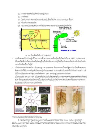 2.2 การที่ตายอดข่มไม่ให้ตาข้างเจริญเติบโต
2.3 การติดผล
2.4 ป้องกันการร่วงของผลโดยออกซินจะยับยังไม่ให้เกิด Abcission layer ขึนมา
2.5 ป้องกันการร่วงของใบ
2.6 ในบางกรณีออกซินสามารถท้าให้สัดส่วนของดอกตัวเมียและตัวผู้เปลี่ยนไป
 ฮอร์โมนไซโตไคนิน (Cytokinins)
- การค้นพบฮอร์โมนในกลุ่มนีเริ่มจากการศึกษาการเพาะเลียงเนือเยื่อ โดยในปี ค.ศ. 1920 Haberlandt
ได้แสดงให้เห็นว่ามีสารชนิดหนึ่งเกิดอยู่ในเนือเยื่อพืชและกระตุ้นให้เนือเยื่อพาเรนไคมาในหัวมันฝรั่งกลับ
กลายเป็นเนือเยื่อเจริญได้
- นักวิทยาศาสตร์หลายท่าน เช่น Skoog และ Steward ท้าการทดลองในสหรัฐอเมริกา โดยศึกษาความ
ต้องการสิ่งที่ใช้ในการเจริญเติบโตของกลุ่มก้อนของเซลล์ (Callus) ซึ่งเป็นเซลล์ที่แบ่งตัวอย่างรวดเร็ว แต่
ไม่มีการเปลี่ยนแปลงทางคุณภาพเกิดขึนของ pith จากยาสูบและรากของแครอท
- แม้ว่าไคเนติน BA และ PBA เป็นสารที่ไม่พบในต้นพืชแต่สารที่เกิดตามธรรมชาติและสารสังเคราะห์หลาย
ชนิด ซึ่งมีคุณสมบัติเหมือนไคเนตินนัน เรียกโดยทั่วๆ ไปว่า ไซโตไคนิน ซึ่งเป็นสารที่เมื่อมีผลร่วมกับออก
ซินแล้วจะเร่งให้เกิดการแบ่งเซลล์ในพืช
การตอบสนองของพืชต่อฮอร์โมนไซโทไคนิน
1. กระตุ้นให้เกิดการแบ่งเซลล์และการเปลี่ยนแปลงทางคุณภาพใน tissue culture โดยต้องใช้
ร่วมกับ Auxin ในการเลียงเนือเยื่อพืชนันหากให้ฮอร์โมนไซโตไคนินมากกว่าออกซินจะท้าให้เนือเยื่อนันเจริญ
เป็นตา ใบ และล้าต้น
 