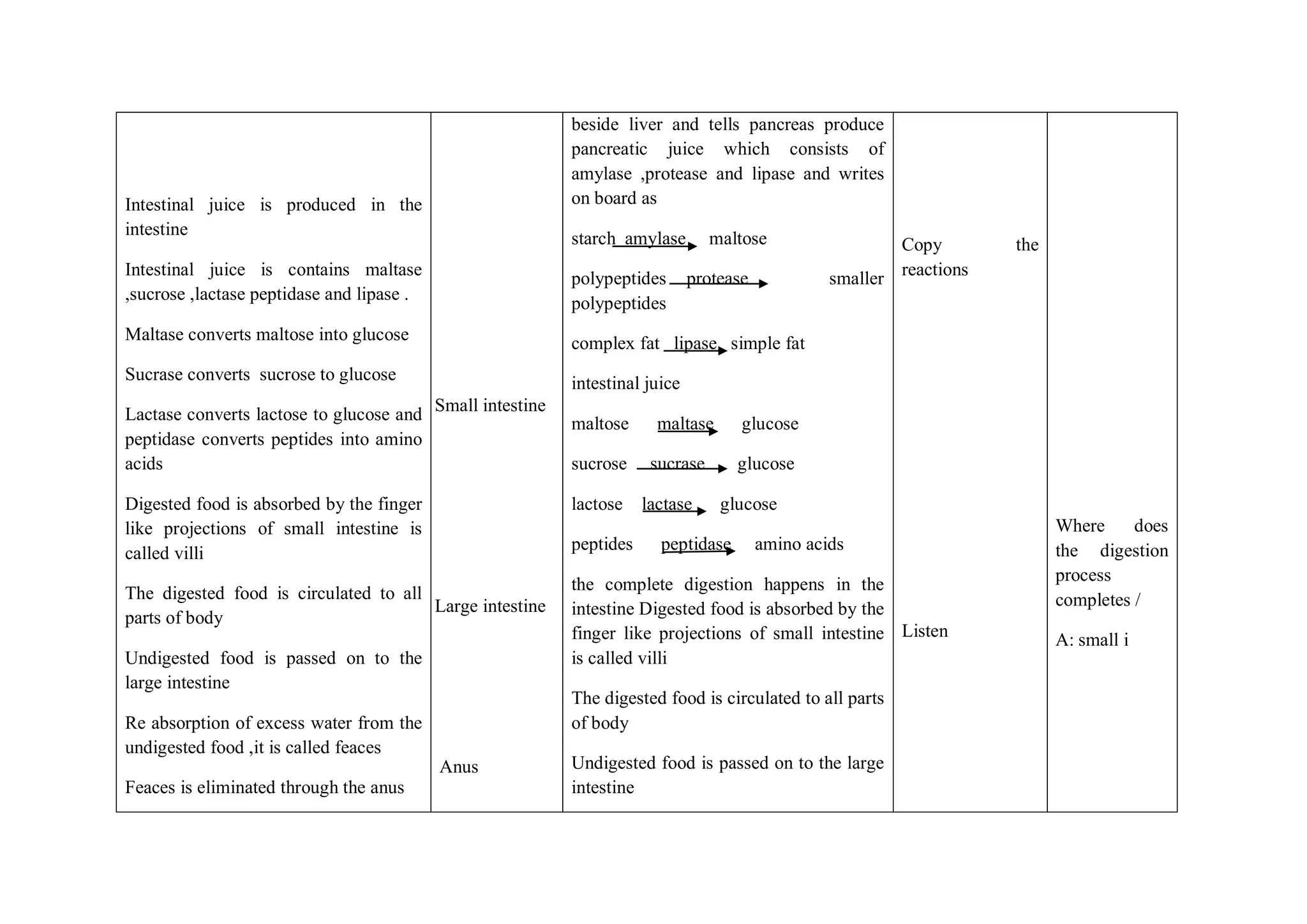 Intestinal juice is produced in the
intestine
Intestinal juice is contains maltase
,sucrose ,lactase peptidase and lipase .
Maltase converts maltose into glucose
Sucrase converts sucrose to glucose
Lactase converts lactose to glucose and
peptidase converts peptides into amino
acids
Digested food is absorbed by the finger
like projections of small intestine is
called villi
The digested food is circulated to all
parts of body
Undigested food is passed on to the
large intestine
Re absorption of excess water from the
undigested food ,it is called feaces
Feaces is eliminated through the anus
Small intestine
Large intestine
Anus
beside liver and tells pancreas produce
pancreatic juice which consists of
amylase ,protease and lipase and writes
on board as
starch amylase maltose
polypeptides protease smaller
polypeptides
complex fat lipase simple fat
intestinal juice
maltose maltase glucose
sucrose sucrase glucose
lactose lactase glucose
peptides peptidase amino acids
the complete digestion happens in the
intestine Digested food is absorbed by the
finger like projections of small intestine
is called villi
The digested food is circulated to all parts
of body
Undigested food is passed on to the large
intestine
Copy the
reactions
Listen
Where does
the digestion
process
completes /
A: small i
 