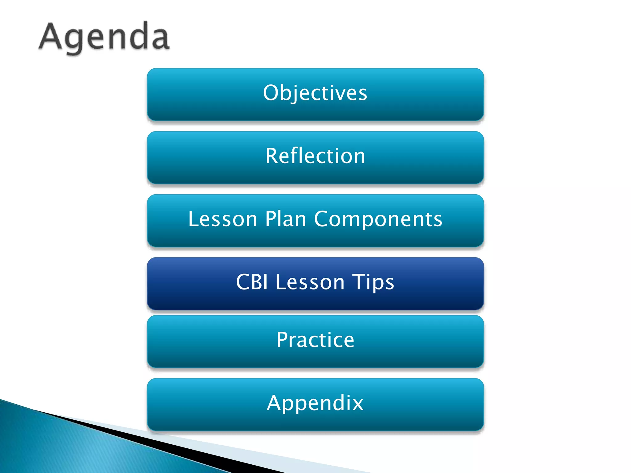 Objectives
Reflection
Lesson Plan Components
Practice
Appendix
CBI Lesson Tips
 