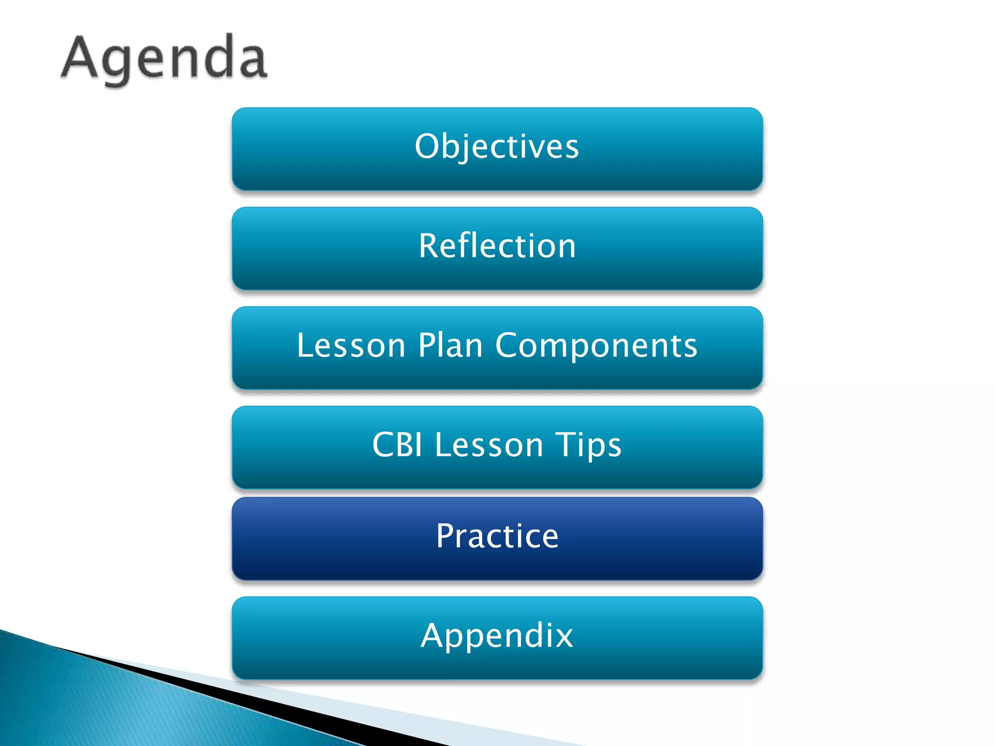 Objectives
Reflection
Lesson Plan Components
Practice
Appendix
CBI Lesson Tips
 