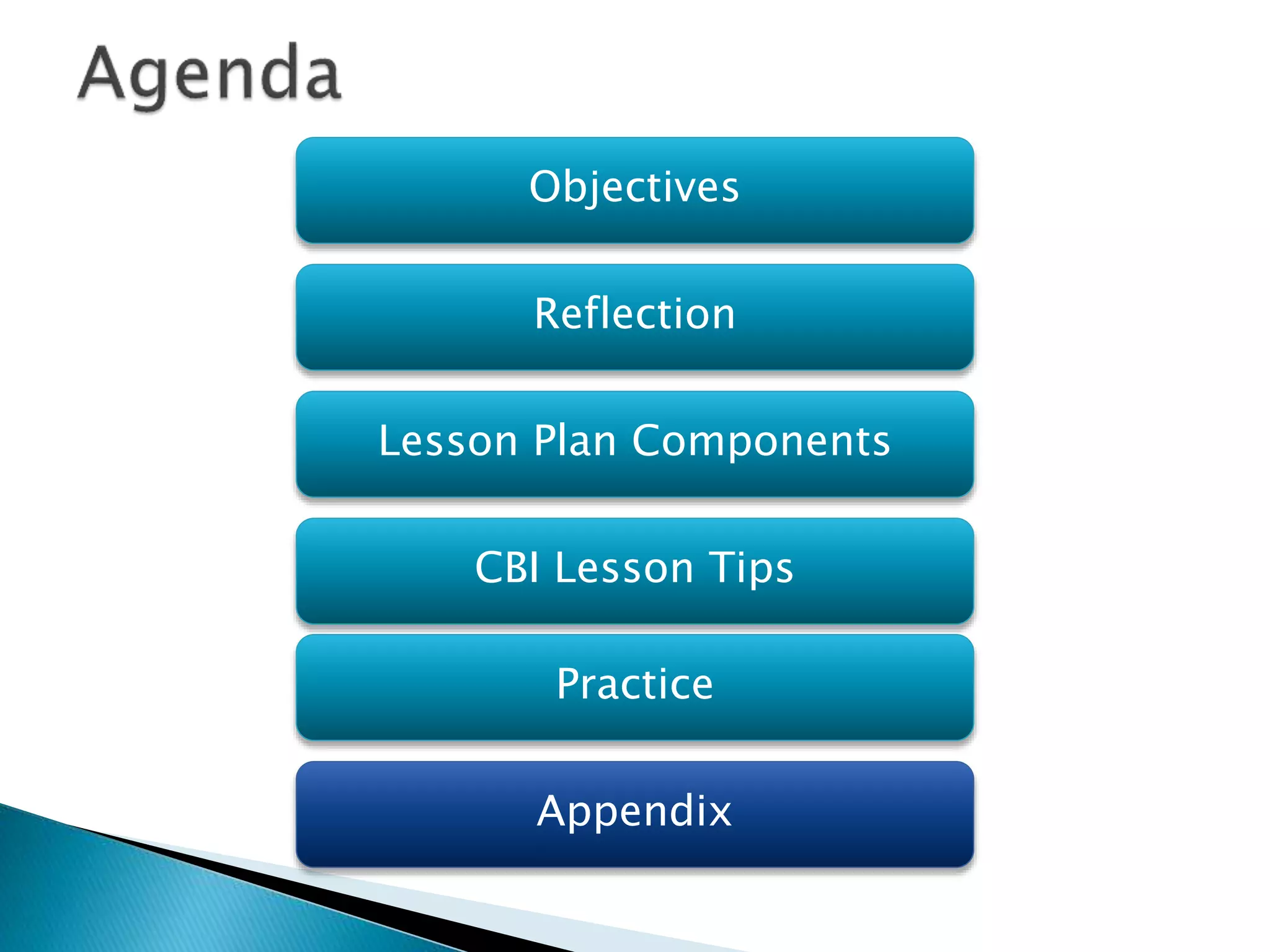 Objectives
Reflection
Lesson Plan Components
Practice
Appendix
CBI Lesson Tips
 