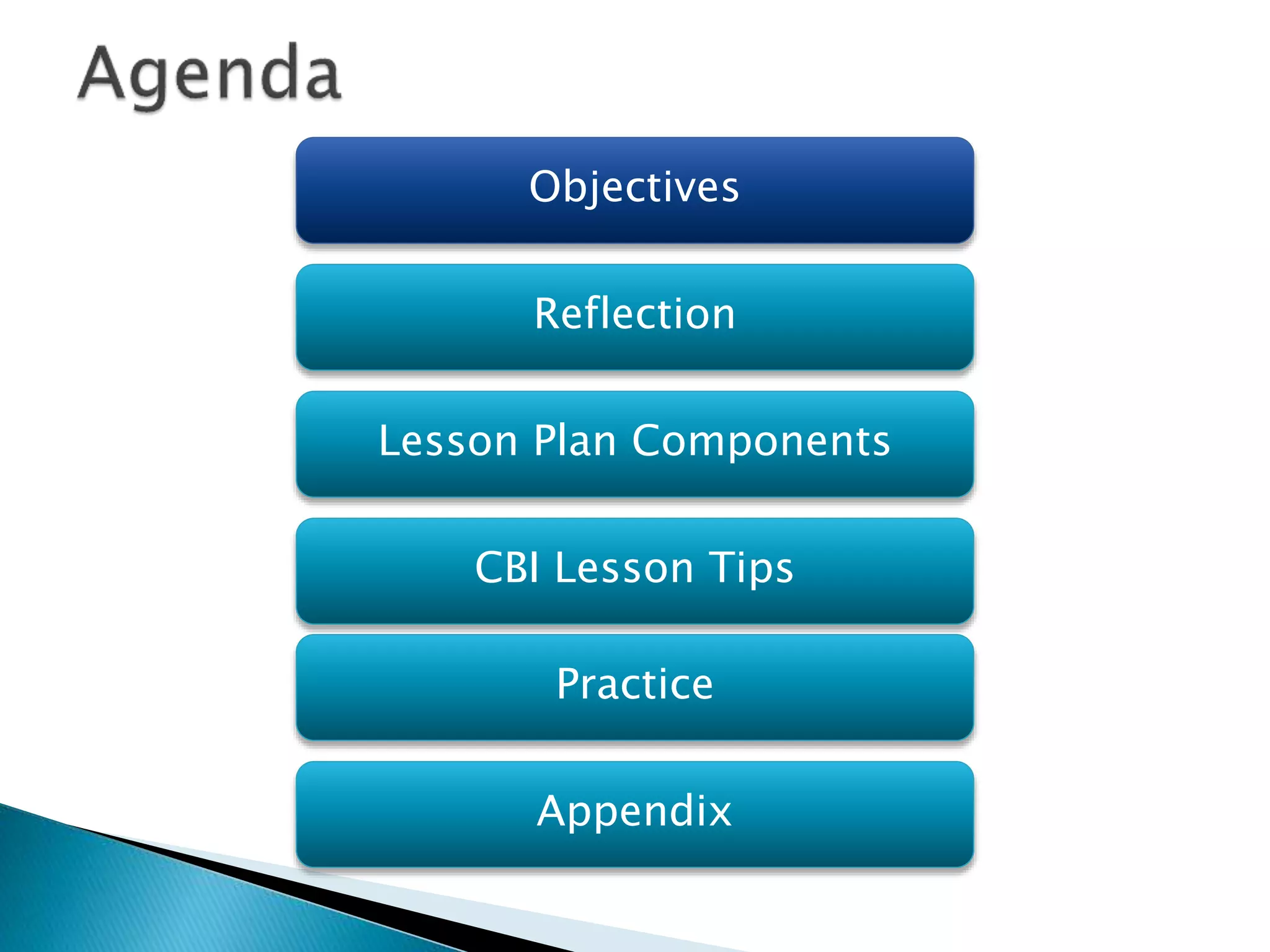 Objectives
Reflection
Lesson Plan Components
Practice
Appendix
CBI Lesson Tips
 