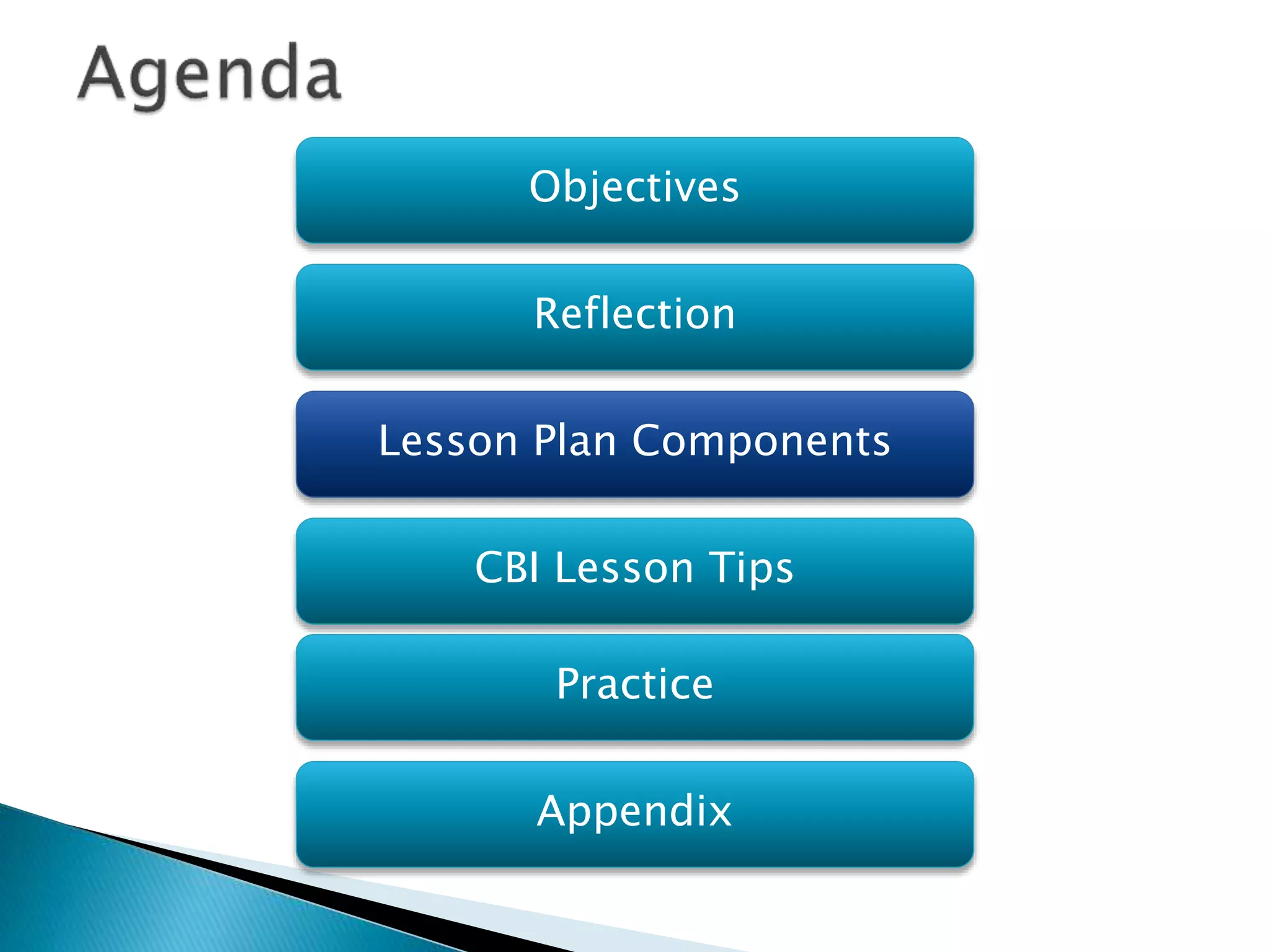 Objectives
Reflection
Lesson Plan Components
Practice
Appendix
CBI Lesson Tips
 