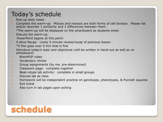 Today’s schedule
   Pick-up daily notes
   Complete the warm-up: Mitosis and meiosis are both forms of cell division. Please list
    and/or describe 1 similarity and 2 differences between them.
    *The warm-up will be displayed on the smartboard as students enter.
   Discuss the warm-up.
    PowerPoint begins at this point:
   5-Alive Recap: Lively 5 minute review/recap of previous lesson
    *if this goes over 5 min that is fine
   Introduce today’s topic and objectives (will be written in hand-out as well as on
    whiteboard)
      BrainPOP video
      Vocabulary review
      Group assignments (by me, pre-determined)
      Classwork page: complete together
      Bean-otype lab activity: complete in small groups
      Discuss lab as class
      Homework will be independent practice on genotypes, phenotypes, & Punnett squares
      Exit ticket
      Also turn in lab pages upon exiting




schedule
 