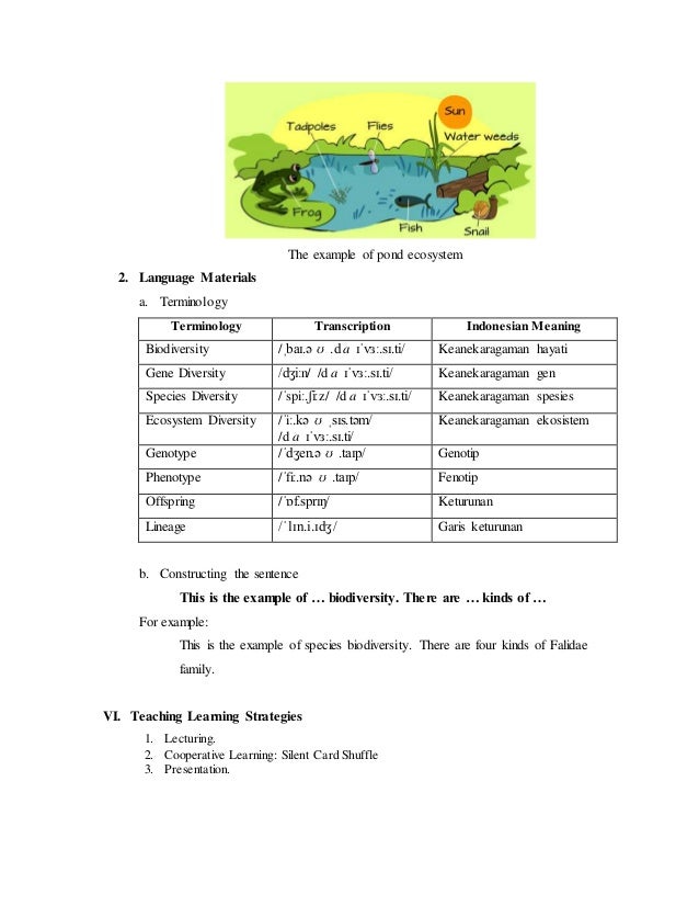 Lesson Plan English Language Teaching Accross Curriculum