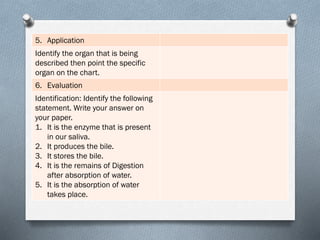 5. Application
Identify the organ that is being
described then point the specific
organ on the chart.
6. Evaluation
Identification: Identify the following
statement. Write your answer on
your paper.
1. It is the enzyme that is present
in our saliva.
2. It produces the bile.
3. It stores the bile.
4. It is the remains of Digestion
after absorption of water.
5. It is the absorption of water
takes place.
 