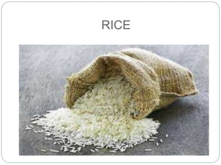 RICE 
 