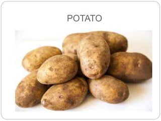 POTATO 
