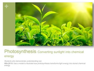 + 
Photosynthesis: Converting sunlight into chemical 
energy 
Students who demonstrate understanding can: 
HS-LS1-5: Use a model to illustrate how photosynthesis transforms light energy into stored chemical 
energy. 
 