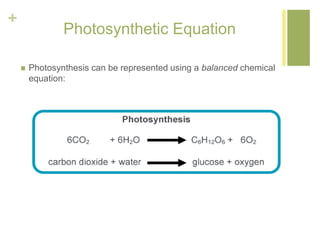 + 
Photosynthetic Equation 
 Photosynthesis can be represented using a balanced chemical 
equation: 
 