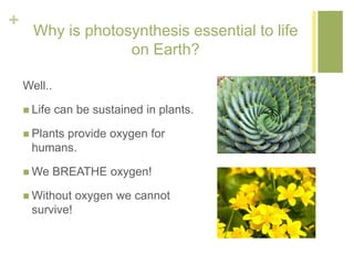 + 
Why is photosynthesis essential to life 
on Earth? 
Well.. 
 Life can be sustained in plants. 
 Plants provide oxygen for 
humans. 
We BREATHE oxygen! 
 Without oxygen we cannot 
survive! 
