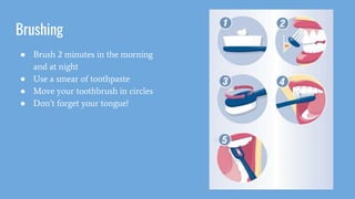 Brushing
● Brush 2 minutes in the morning
and at night
● Use a smear of toothpaste
● Move your toothbrush in circles
● Don’t forget your tongue!
 