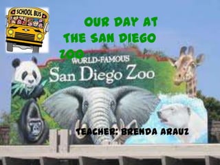 Our Day at
 The San Diego
Zoo




  Teacher: Brenda Arauz
 
