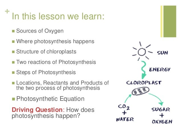 Photosynthesis Build Understanding Photosynthesis Build Understanding