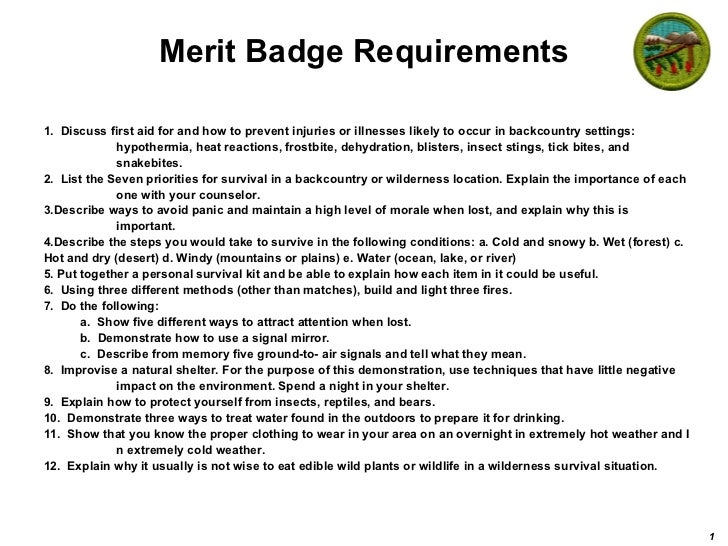 wilderness survival merit badge