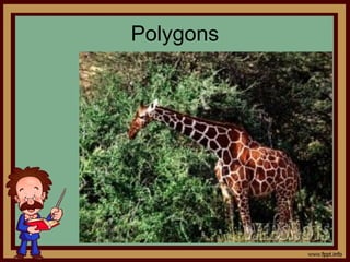 Polygons
 