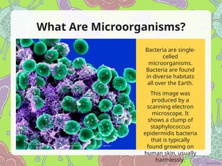 Lesson Presentation Microorganisms and its functionsppt | PPT