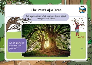 The Parts of a Tree
Tell your partner what you have learnt about
trees from our eBook.
Which parts of
this tree can
you see?
 