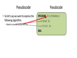 Lesson pseudocode | PPTX