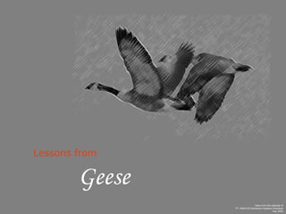 Lessons from Geese Taken from the calendar of PT. ABACUS Distribution Systems Indonesia Year 2002 