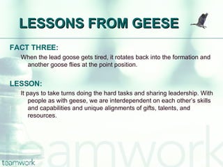 Lessons From Geese | PPS