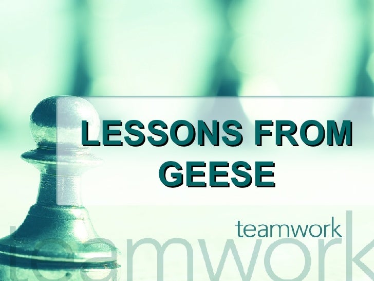 lessons from geese Poems and songs about canada geese, geese, and nature navigation list a hunter's poem lessons from geese lesson if we have as much sense as geese, we will . lessons from geese Poems and songs about canada geese, geese, and nature navigation list a hunter's poem lessons from geese lesson if we have as much sense as geese, we will .