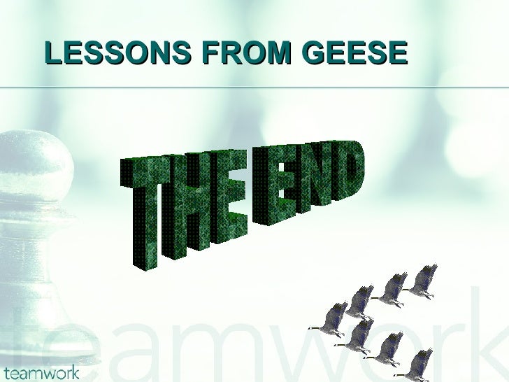 lessons from geese Poems and songs about canada geese, geese, and nature navigation list a hunter's poem lessons from geese lesson if we have as much sense as geese, we will . lessons from geese Poems and songs about canada geese, geese, and nature navigation list a hunter's poem lessons from geese lesson if we have as much sense as geese, we will .