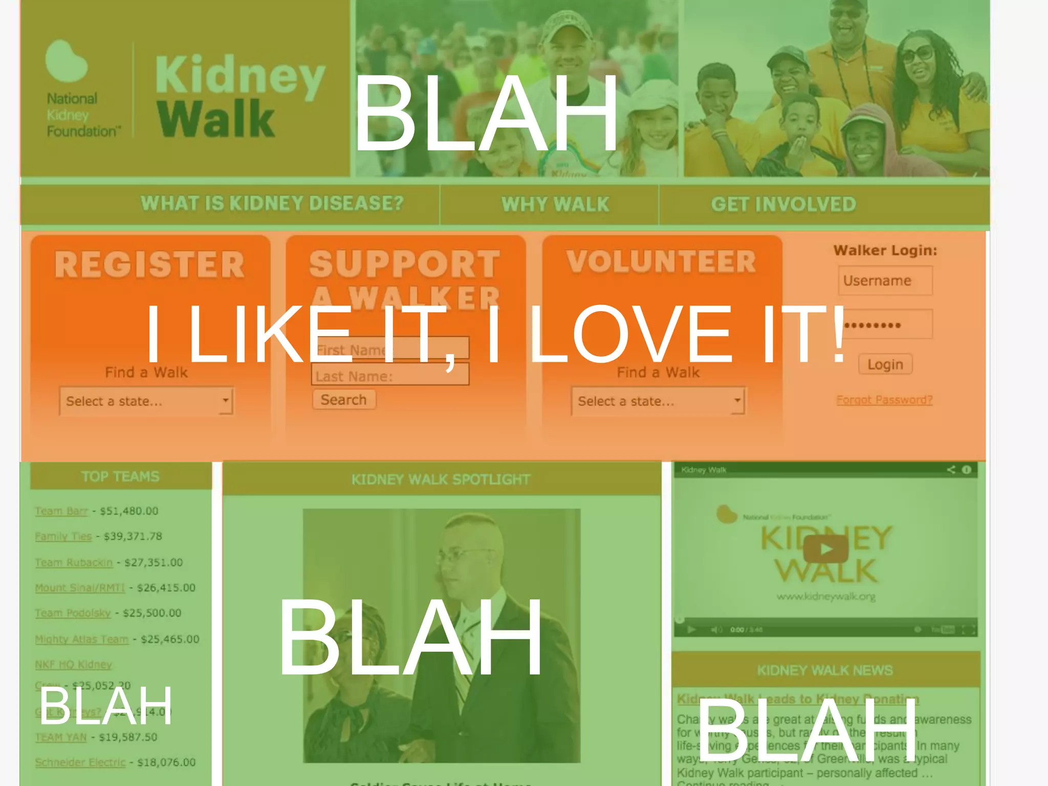 I Like It, I Love It, I Want Some 
More of It! 
BLAH 
Case in Point… 
I LIKE IT, I LOVE IT! 
National Kidney Foundation! 
BLAH 
BLAH BLAH 
 