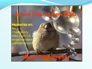 Lesson I learnt from Birds
about Perseverance
PRESENTED BY:
Anup
Chakraborty
#9811222713
anupchakrabort
y@hotmail.com
 