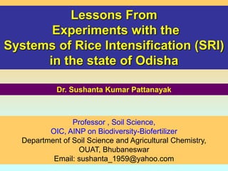 Professor , Soil Science,
OIC, AINP on Biodiversity-Biofertilizer
Department of Soil Science and Agricultural Chemistry,
OUAT, Bhubaneswar
Email: sushanta_1959@yahoo.com
Lessons From
Experiments with the
Systems of Rice Intensification (SRI)
in the state of Odisha
Dr. Sushanta Kumar Pattanayak
 
