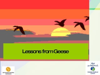 Lessons from Geese   