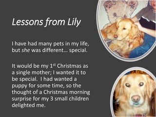 Lessons from Lily
I have had many pets in my life,
but she was different… special.
It would be my 1st Christmas as
a single mother; I wanted it to
be special. I had wanted a
puppy for some time, so the
thought of a Christmas morning
surprise for my 3 small children
delighted me.
 
