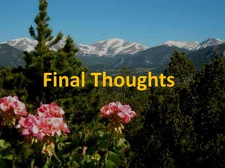 Final Thoughts