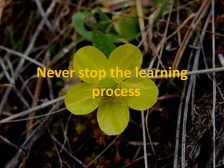Never stop the learning process