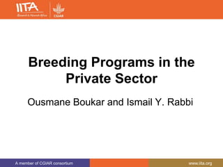 A member of CGIAR consortium www.iita.org
Breeding Programs in the
Private Sector
Ousmane Boukar and Ismail Y. Rabbi
 