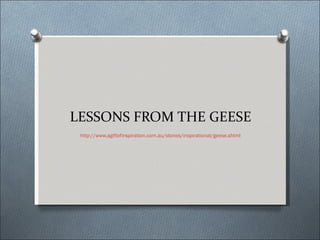 LESSONS FROM THE GEESE http://www.agiftofinspiration.com.au/stories/inspirational/geese.shtml 
