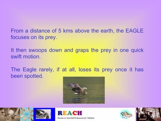 From a distance of 5 kms above the earth, the EAGLE
focuses on its prey.

It then swoops down and graps the prey in one quick
swift motion.

The Eagle rarely, if at all, loses its prey once it has
been spotted.
 