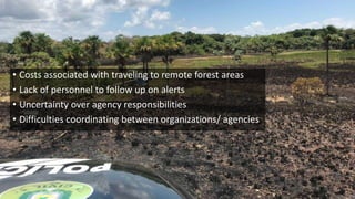 Lessons learned as a provider of near real-time deforestation alerts