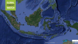 Lessons learned as a provider of near real-time deforestation alerts