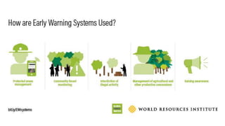 Lessons learned as a provider of near real-time deforestation alerts