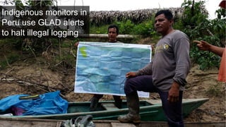 Lessons learned as a provider of near real-time deforestation alerts
